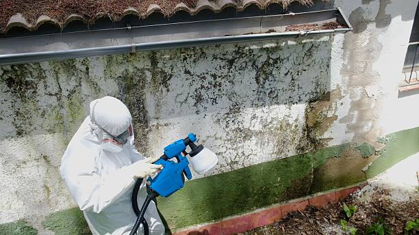 Trusted Mold Removal service in Aberdeen, NC - Cheap Mold Removal